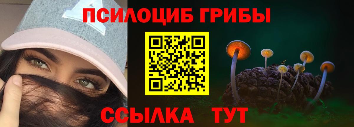 Псилоцибиновые грибы MAGIC MUSHROOMS Якутск